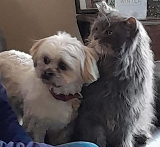 1000000691.jpg 1000000691.jpg