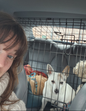 1000010446.png 1000010446.png