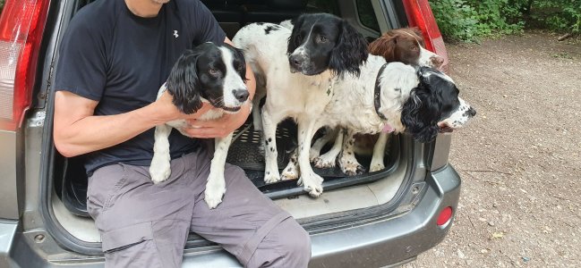 IMG_2749.jpeg IMG_2749.jpeg