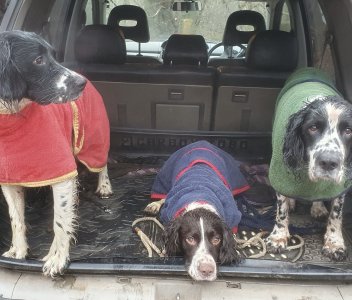 IMG_2748.jpeg IMG_2748.jpeg