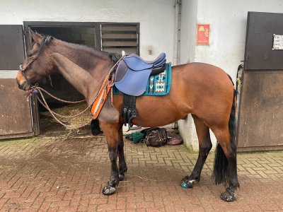 657737170_10101648463951925_2213292851857744407_n.jpg 657737170_10101648463951925_2213292851857744407_n.jpg