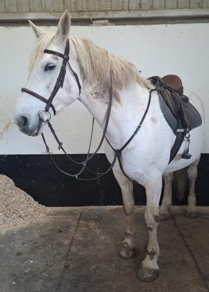 IMG_7717.jpeg IMG_7717.jpeg