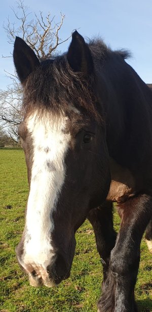 WhatsApp Image 2026-04-07 at 21.09.17.jpeg