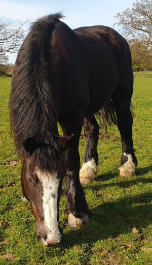 WhatsApp Image 2026-04-08 at 16.13.02.jpeg