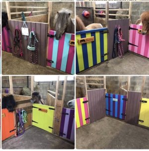 IMG_5075.jpeg IMG_5075.jpeg