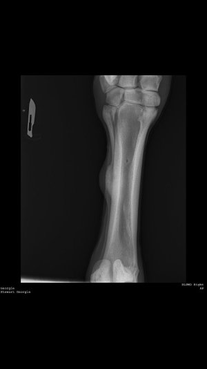 c821f3e2-f2a9-4a49-8603-4bbe65ce9b6d.jpeg c821f3e2-f2a9-4a49-8603-4bbe65ce9b6d.jpeg