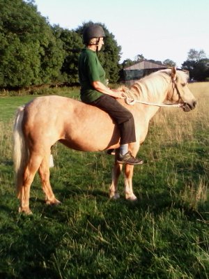 Tina on Pebbles 2016.jpg