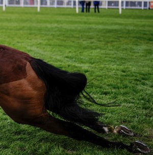 IMG_5421.jpeg IMG_5421.jpeg