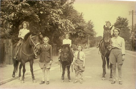 ponies a long time ago.jpg