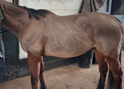 Screenshot_20260418_121930_Photo Editor.jpg