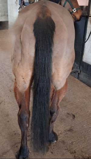 Screenshot_20260418_122028_Photo Editor.jpg