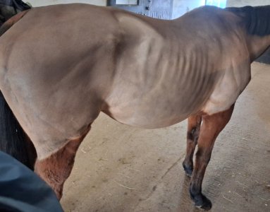 Screenshot_20260418_122054_Photo Editor.jpg