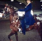 1580129367668.jpeg 1580129367668.jpeg