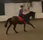 E839744A-597A-43DF-8BE2-4224F8F22C89.jpeg E839744A-597A-43DF-8BE2-4224F8F22C89.jpeg