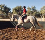 received_543110989639049.jpeg received_543110989639049.jpeg