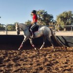 received_169546211139054.jpeg received_169546211139054.jpeg