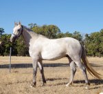 received_2632518323508177_resized_2.jpeg received_2632518323508177_resized_2.jpeg