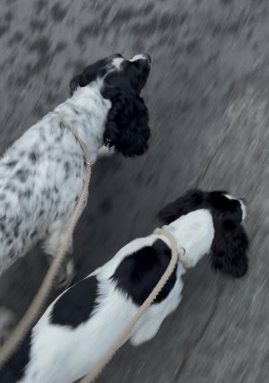 IMG_3272.jpeg