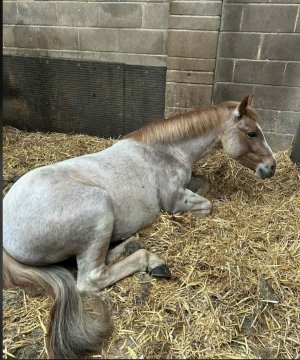 Screenshot 2026-04-30 at 10.53.56.jpg