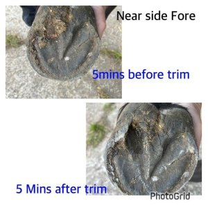 Near Side Fore.jpg