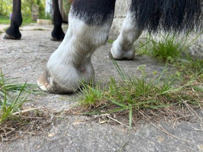 Back Heels.jpg