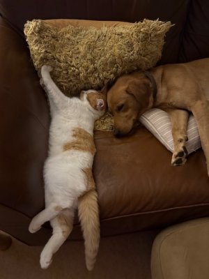 IMG_7706.jpeg