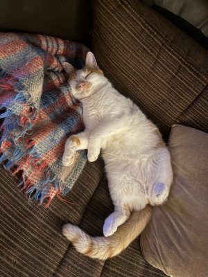 IMG_7603.jpeg