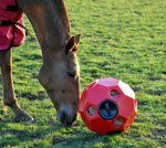 1583242008162.png 1583242008162.png