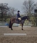 SmartSelect_20200301-153316_Video Player-01.jpeg