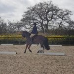 Screenshot_20200301-152845_Video Player-01.jpeg