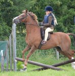 65393186_10158692840824552_2762134377621094400_o.jpg 65393186_10158692840824552_2762134377621094400_o.jpg