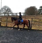 20191226_105358.jpg 20191226_105358.jpg