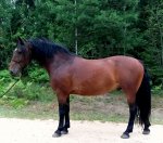 WhatsApp Image 2019-08-06 at 21.jpg WhatsApp Image 2019-08-06 at 21.jpg