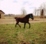 57364707_2471909632832726_3562486994766397440_o.jpg 57364707_2471909632832726_3562486994766397440_o.jpg