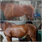 20200330_195822.jpg 20200330_195822.jpg