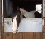 9B4DA85F-5D93-48AE-824A-7CF3523527EE.jpeg 9B4DA85F-5D93-48AE-824A-7CF3523527EE.jpeg