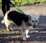 willow small (2).jpg