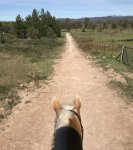 E0544A99-E24D-4225-A645-106F07E892DF.jpeg E0544A99-E24D-4225-A645-106F07E892DF.jpeg