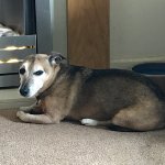 F8136CDD-4B3D-4D38-8D5D-2C725DB7A47F.jpeg F8136CDD-4B3D-4D38-8D5D-2C725DB7A47F.jpeg