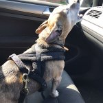 3E97758D-92FA-44B7-96A6-271838737C24.jpeg 3E97758D-92FA-44B7-96A6-271838737C24.jpeg