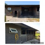 Collage 2020-04-19 21_50_11.jpg Collage 2020-04-19 21_50_11.jpg