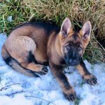 6A037199-1616-4528-B8E4-663370203248.jpeg 6A037199-1616-4528-B8E4-663370203248.jpeg