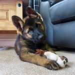 ECFE4B89-CB0E-406A-9937-95E30350E707.jpeg ECFE4B89-CB0E-406A-9937-95E30350E707.jpeg