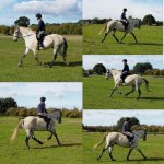 20181206_103959.jpg 20181206_103959.jpg