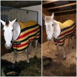 20181217_182659.jpg 20181217_182659.jpg