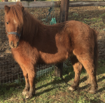 Screenshot 2018-12-23 at 22.54.43.png