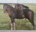 2019-01-04 18.50.07.jpg