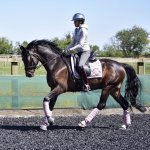 8D648E7C-3175-4AA1-BB9D-7D5E7BE714D4.jpeg 8D648E7C-3175-4AA1-BB9D-7D5E7BE714D4.jpeg