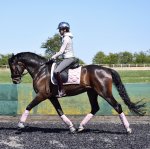 B652B7FD-FB19-4FF2-BAE4-D4318618CA5C.jpeg B652B7FD-FB19-4FF2-BAE4-D4318618CA5C.jpeg