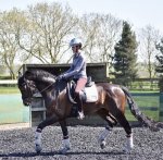 16F3632B-3B29-4022-9562-DC9539E3BEB9.jpeg 16F3632B-3B29-4022-9562-DC9539E3BEB9.jpeg